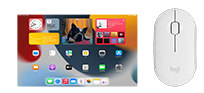 AppleScreen 8,3"