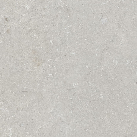 Podlahová dlaždica 60 x 120 cm, svetlošedá, matná, A4H1093 Shellstone Bianco #1
