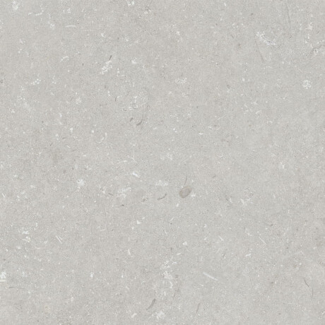 Podlahová dlaždica 60 x 120 cm, svetlošedá, matná, A4H1093 Shellstone Bianco #2