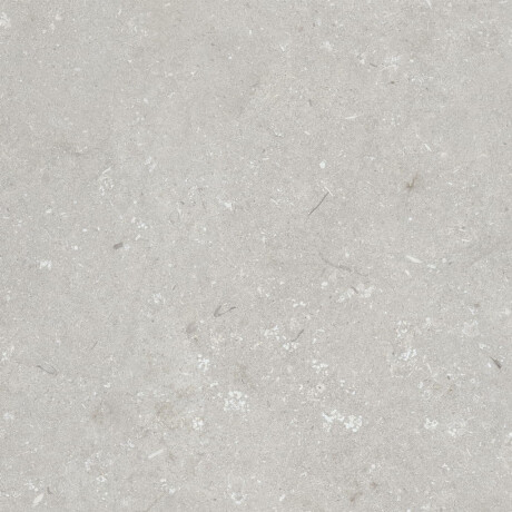 Podlahová dlaždica 60 x 120 cm, svetlošedá, matná, A4H1093 Shellstone Bianco #3