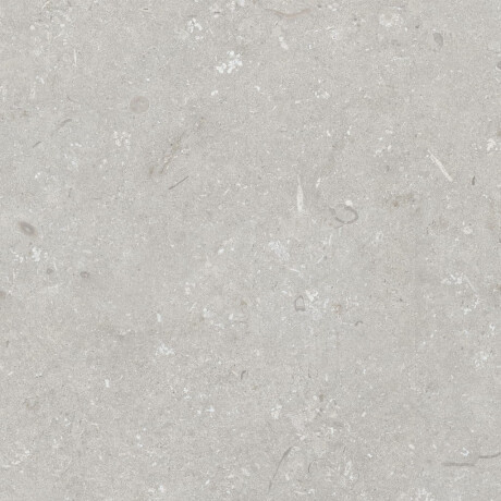 Podlahová dlaždica 60 x 120 cm, svetlošedá, matná, A4H1093 Shellstone Bianco #5