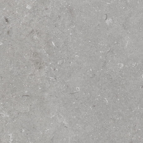 Podlahová dlaždica 60 x 120 cm, sivá matná, A4H1096 Shellstone Grigio #4