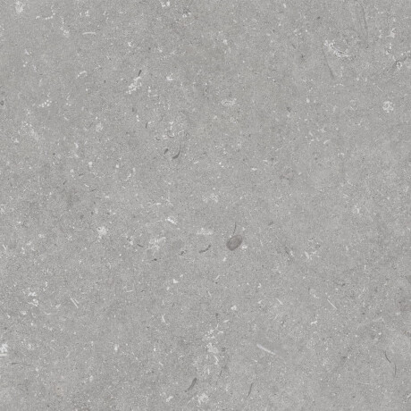 Podlahová dlaždica 60 x 120 cm, sivá matná, A4H1096 Shellstone Grigio #5