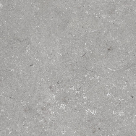 Podlahová dlaždica 60 x 120 cm, sivá matná, A4H1096 Shellstone Grigio #6