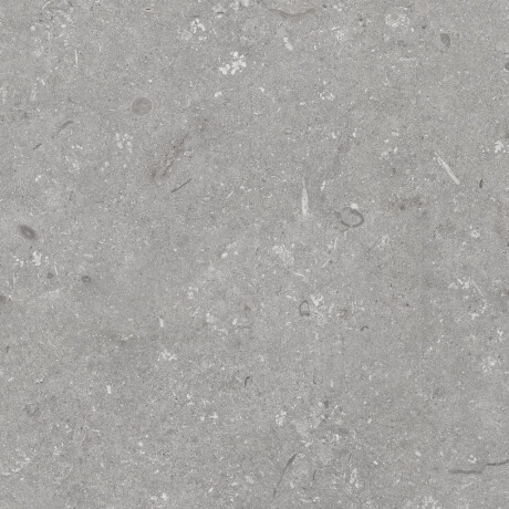 Podlahová dlaždica 60 x 120 cm, sivá matná, A4H1096 Shellstone Grigio #8