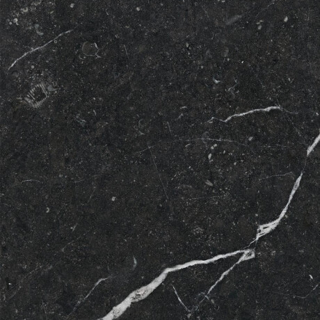 Glazovaná dlažba 60x120 so zlatými žilkami, matná, rektifikovaná, A4H110 Pierre Black #15