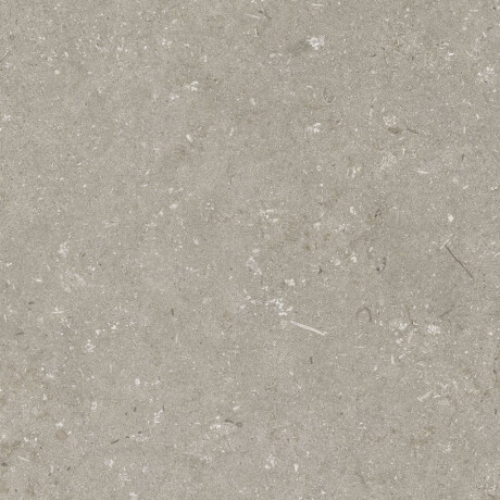 Podlahová dlaždica 60 x 120 cm, farba taupe, matná, A4H1102 Shellstone Taupe #4