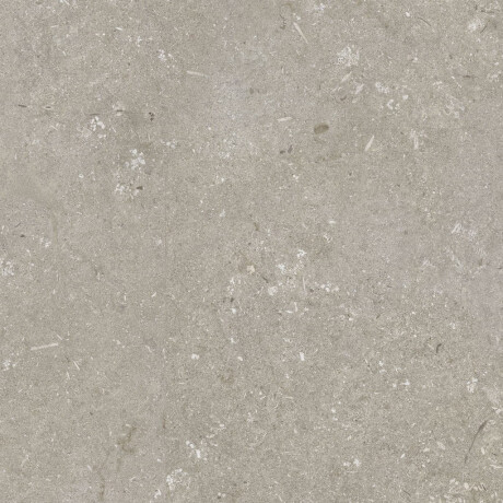 Podlahová dlaždica 60 x 120 cm, farba taupe, matná, A4H1102 Shellstone Taupe #5