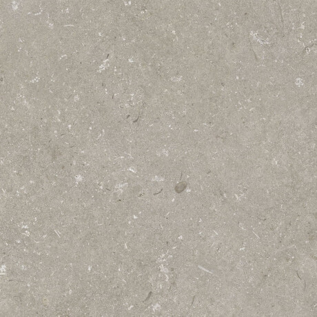 Podlahová dlaždica 60 x 120 cm, farba taupe, matná, A4H1102 Shellstone Taupe #7