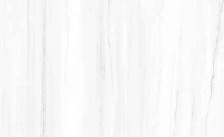 Veľkoformátová gresová dlaždica 120 × 270 cm so sivými žilkami, lesklá, rektifikovaná A4H185 Dolomite