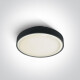 RAFTI EA stropné svietidlo 2x12 W, IP65, antracit #1