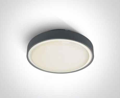 RAFTI EA stropné svietidlo 2x12 W, IP65, biele