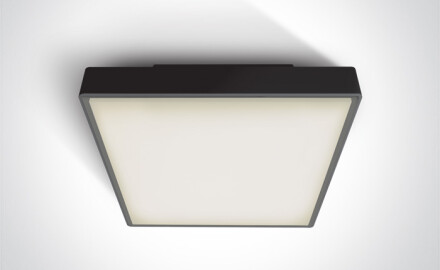 PIRNARI EA stropné svietidlo 2x12 W E27 IP65 antracit